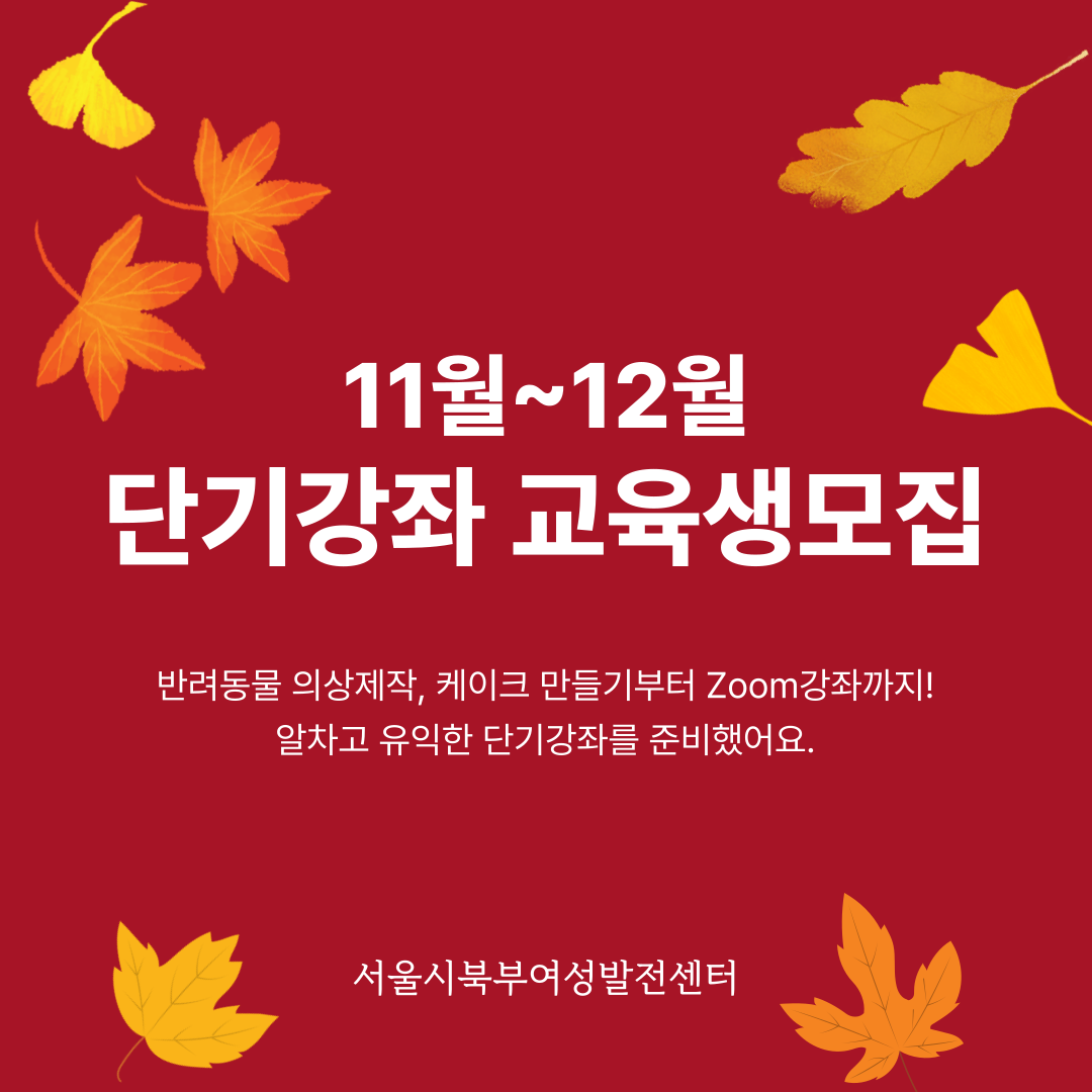 2024년&nbsp;11월~12월&nbsp;단기강좌